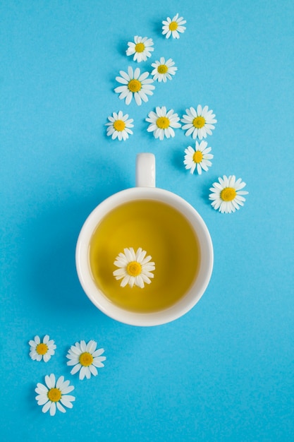 Té de hierbas con flor de manzanilla en la taza blanca. Vista superior.