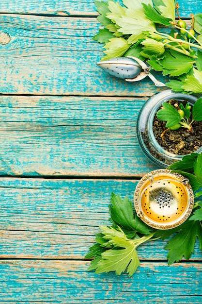 Foto té de hierbas con follaje de grosellas frescas.