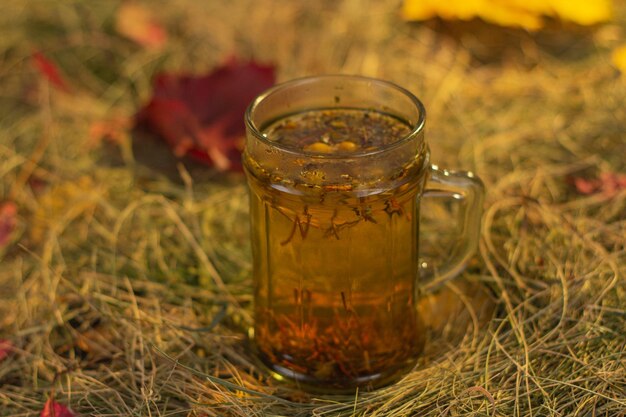 Foto té de hierbas en el fondo del follaje de otoño