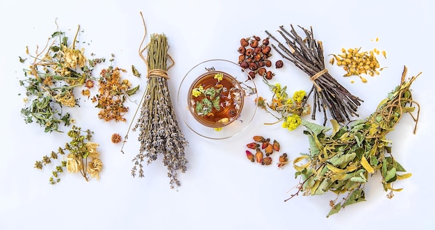 Té de hierbas con hierbas medicinales y flores Enfoque selectivo