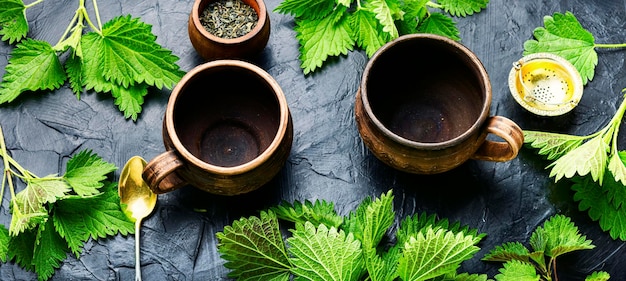 Té de hierbas con hojas de ortiga.Medicina a base de hierbas, homeopatía.Té verde saludable