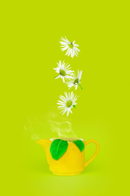 Té de hierbas con manzanilla y limón. idea publicitaria creativa con margaritas blancas manzanilla y tetera de limón sobre un fondo verde brillante.