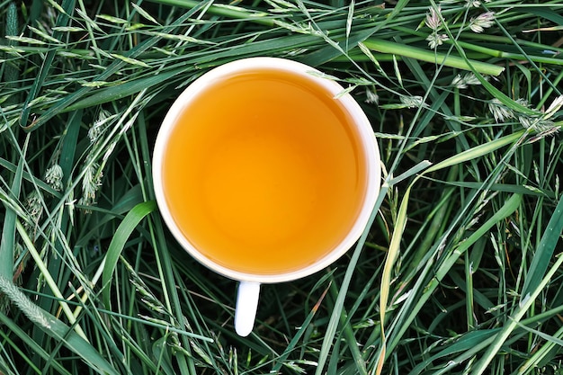 Té de hierbas de plantas medicinales en una taza al aire libre sobre hierba verde mawn