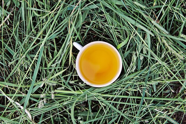 Té de hierbas de plantas medicinales en una taza al aire libre sobre hierba verde mawn