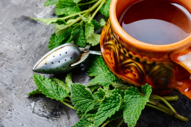 Té de hierbas en un vaso de vidrio