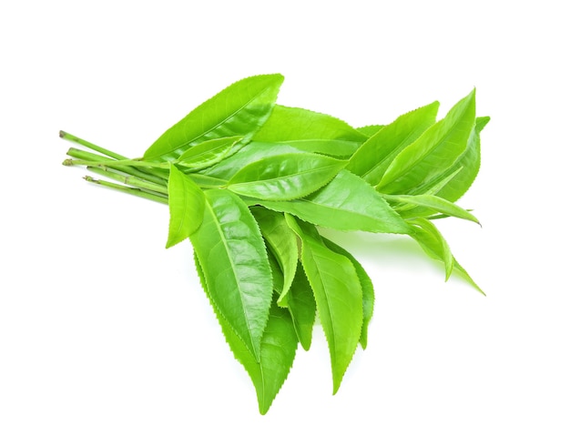 Té de hojas verdes aislado en blanco.