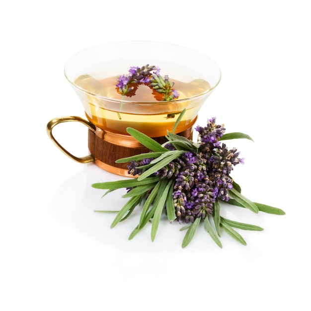 Té de lavanda y un montón de lavanda fresca sobre fondo blanco.