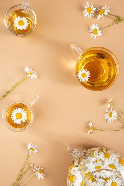 Té de manzanilla Tazas de té de hierbas tetera transparente con flores de manzanilla sobre fondo marrón Concepto de bebida calmante Bodegón de moda