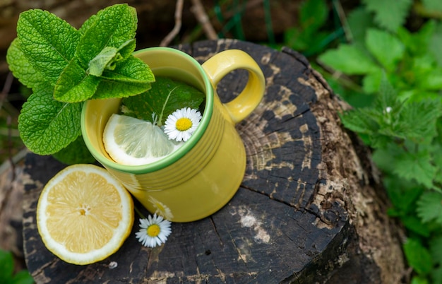 Té con menta, limón y manzanilla en la naturaleza.