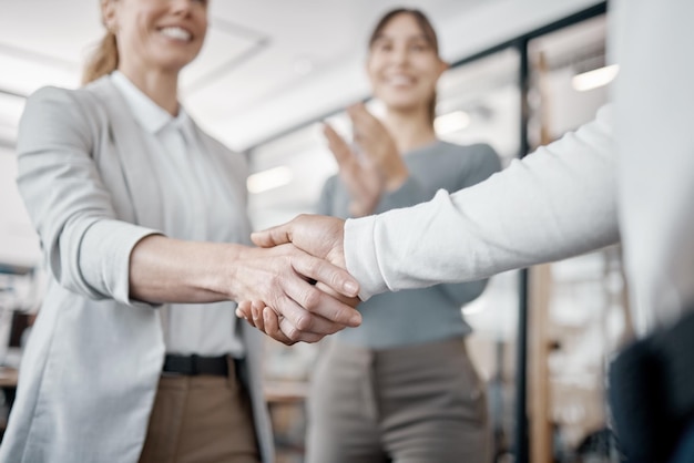 Te mereces todo el éxito que la vida tiene para ofrecer. Disparo de dos empresarios irreconocibles dándose la mano en una oficina en el trabajo.