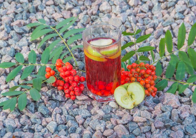 Té de otoño, fresno de montaña de bayas y manzanas.