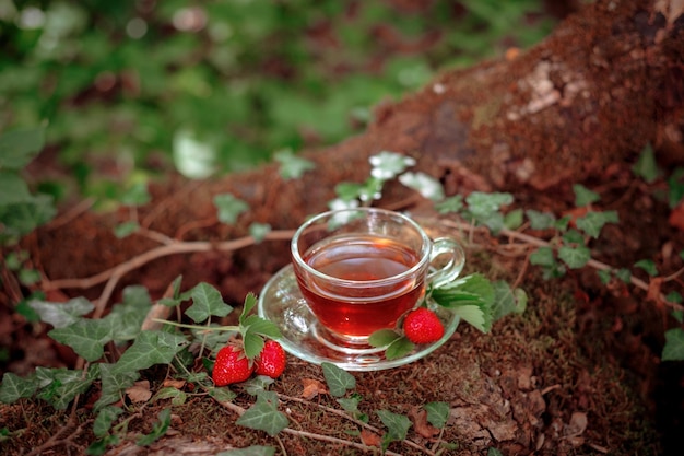 Té rojo de frutas con bayas silvestres en un vaso de vidrio en el bosque sobre fondo brillante concepto de temporada de verano de la hora del té y enfoque selectivo suave de verano