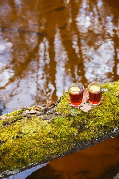 Té rojo con limón en una taza de vidrio sobre la naturaleza En un árbol con musgo sobre un río