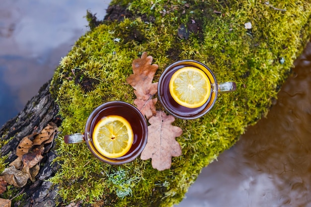 Té rojo con limón en una taza de vidrio sobre la naturaleza En un árbol con musgo sobre un río