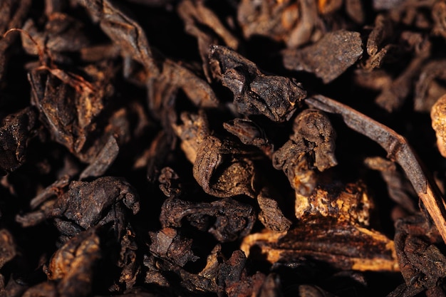 Té shu puerh de hojas negras de chocolate con granos de cacao fotografía macro de primer plano