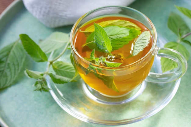 Té verde con menta en un recipiente transparente. Alimentos saludables, antioxidantes.