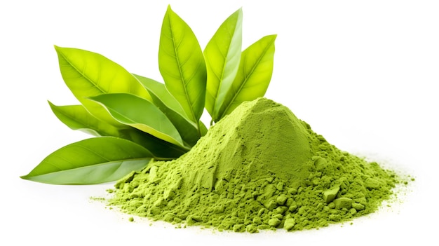 Té verde en polvo y hojas de té verde aisladas sobre fondo blanco