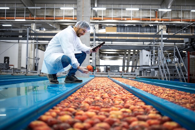 Technologe mit Tablet-Computer, der an Wassertankförderern steht, die Qualitätskontrolle der Apfelfruchtproduktion in der Lebensmittelverarbeitungsanlage durchführen.