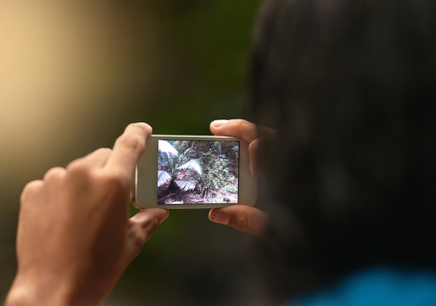 Technologie trifft auf Natur Rückansicht einer nicht identifizierbaren Person, die ein Foto mit einem Handy macht, während sie den Wald erkundet