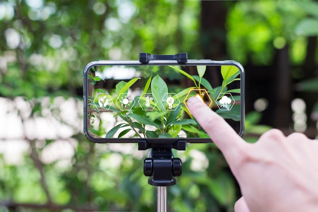 Technologie- und Umweltkonzept Verbindung zwischen Menschen und Pflanzen mit Technologie Smartphone-Bildschirm