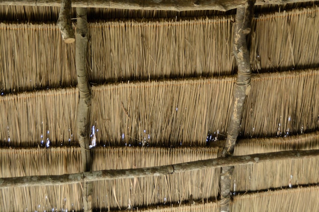 Techo de hoja de palma nipa seca de primer plano