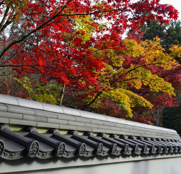 Techo del templo budista japonés de Eikando o templo Zenrin-ji en la temporada de otoño, Kyoto, Japón