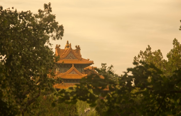 Techos de pagoda en la ciudad prohibida en Beijing China