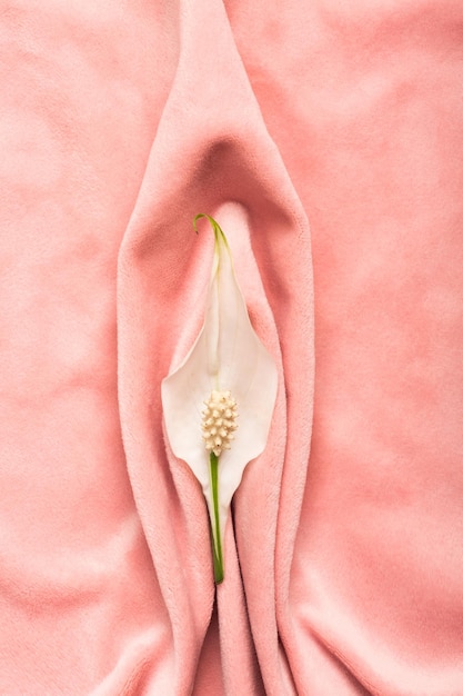 Foto tecido mole rosa na forma de vulva de órgãos genitais femininos e conceito de vagina de lábios com flor delicada