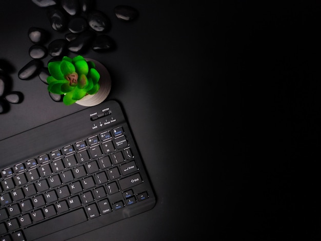 Un teclado inalámbrico negro y una planta verde sobre un fondo negro