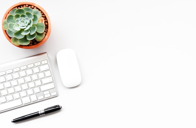 Teclado, ratón y ordenador suculento en el escritorio blanco.