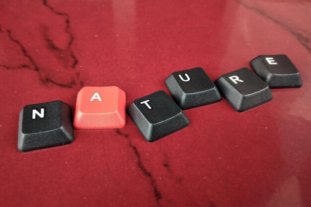 teclas de teclado com a palavra outono em letras pretas em fundo vermelho