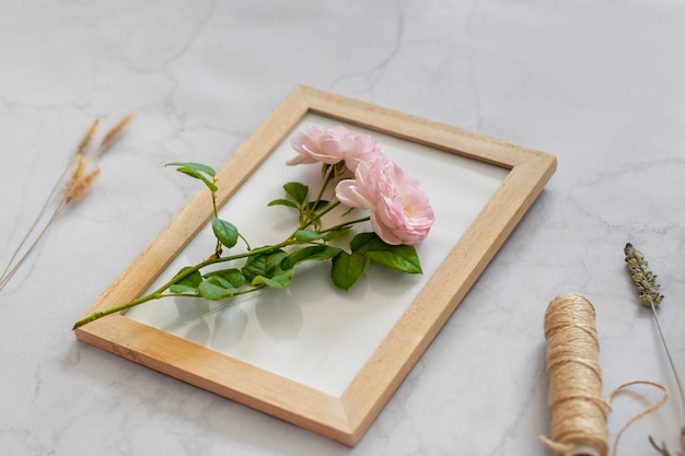 Foto técnica de prensa de flores de alto ângulo ainda vida