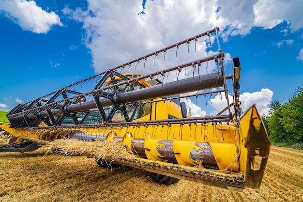 Técnicas pesadas no campo de trigo Vista de baixo ângulo da colheitadeira amarela colhendo trigo seco Observando o processo Vista frontal