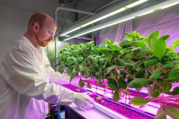 Un técnico ajusta un sistema de fotosíntesis artificial en el laboratorio que representa el futuro de la bioinspiración.