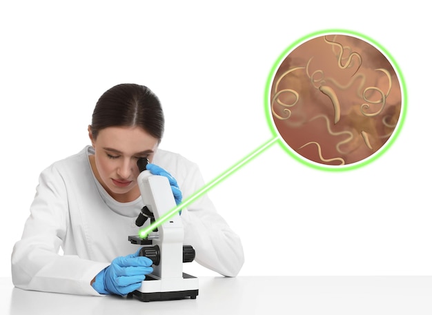 Técnico de laboratório usando microscópio para examinar helmintos em fundo branco Visão ampliada de vermes parasitas