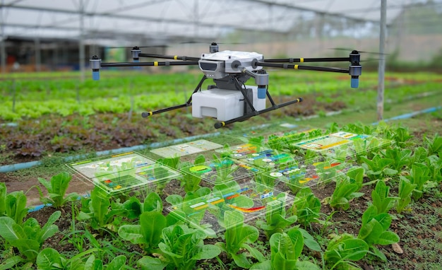 Tecnología agrícola con drones en greenhoue