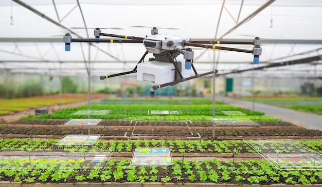 Tecnología agrícola con drones en greenhoue