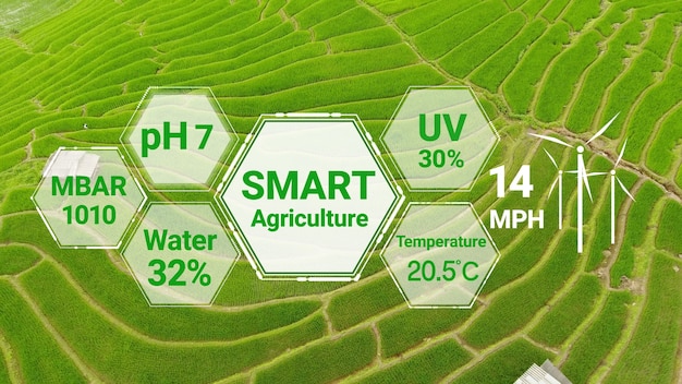 Tecnología de agricultura digital inteligente mediante la recopilación de datos de sensores futuristas