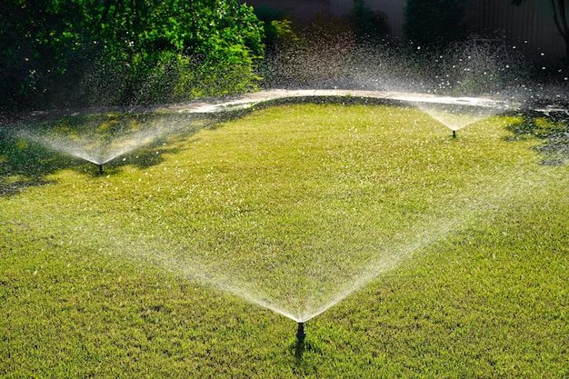 Tecnologia de rega automática de quintal de jardim para gramado verde