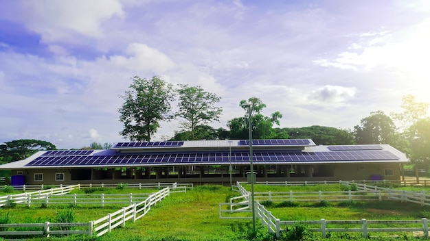 Tecnología de paneles solares en la azotea de la granja para un sistema de generación de electricidad alternativo