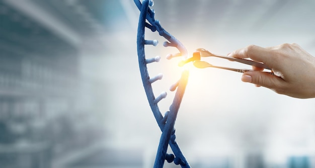 Tecnologías innovadoras de ADN en ciencia y medicina. Técnica mixta