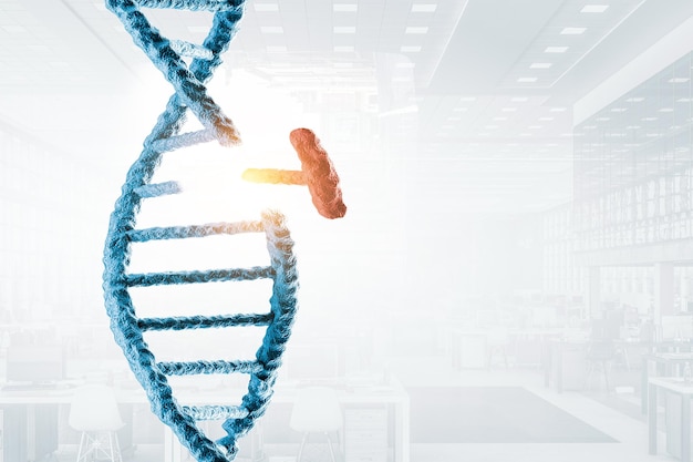 Tecnologías innovadoras de ADN en ciencia y medicina. Técnica mixta