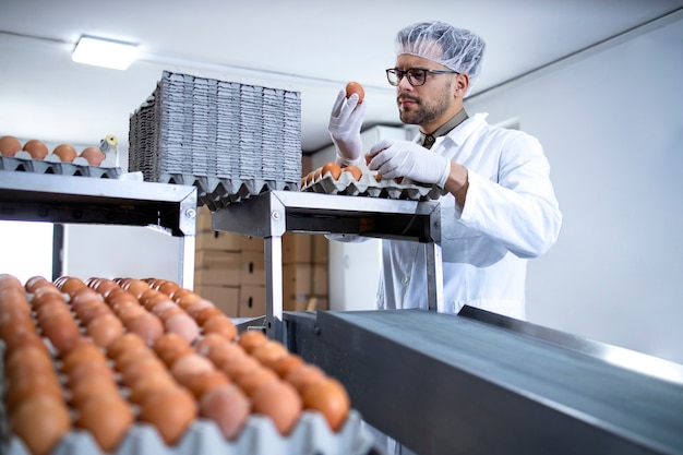 Tecnólogo inspeccionando y verificando la calidad de los huevos en la planta de procesamiento de alimentos.