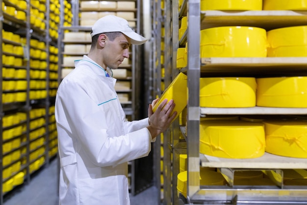 El tecnólogo de túnica blanca con una cabeza de queso amarillo en las manos está en la tienda para la producción de mantequilla y queso El proceso de producción en la planta de productos lácteos Bastidores con queso