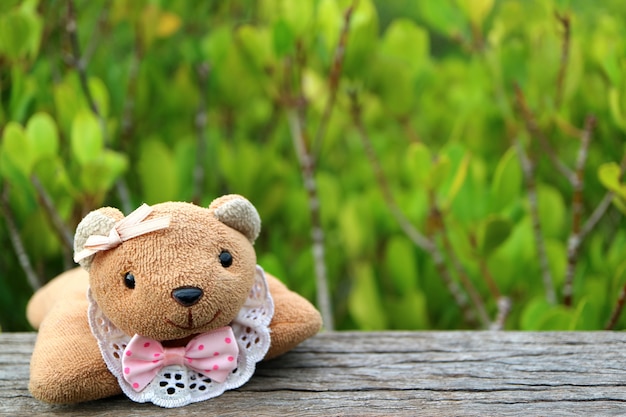 Teddy Bear auf dem Bretterzaun mit unscharfem vibrierendem grünem goldenem Mangrovenfeld