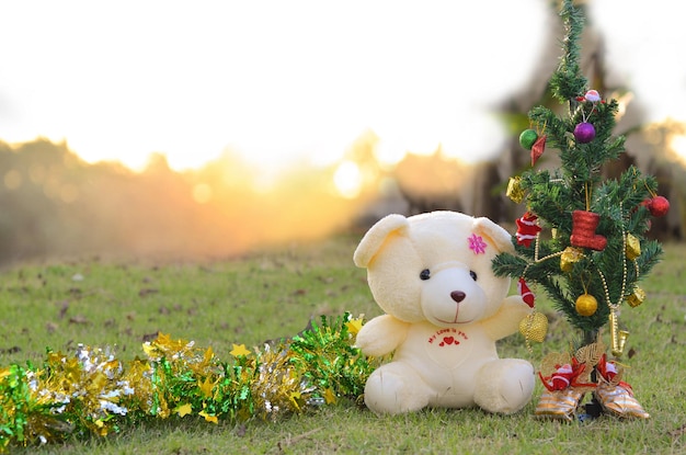 Teddybär mit Weihnachtsbaum auf Naturhintergrund