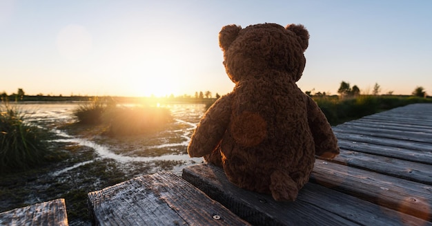 Teddybär sitzt auf einem Steg/Pier an einem See bei Sonnenuntergang, Rückansicht. Liebesthema. Konzept über Liebe und Beziehung. Exemplar für Ihren individuellen Text.