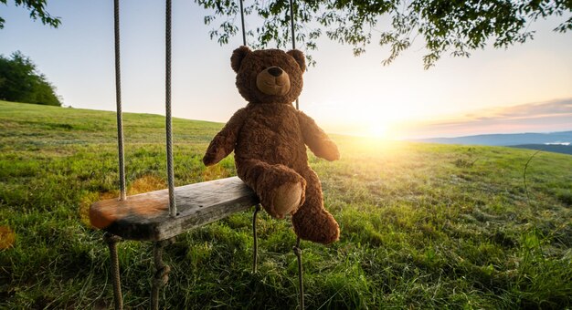 Teddybär sitzt auf einer Schaukel bei Sonnenuntergang Liebesthema Konzept über Liebe und Kindheit