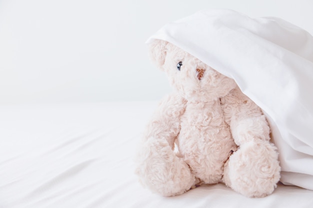 Teddybär verspielt in weißer Decke