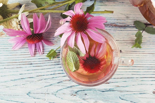 Tee aus frischen Blüten von Echinacea und Minze, auf einem Holztisch, Heilkräuter